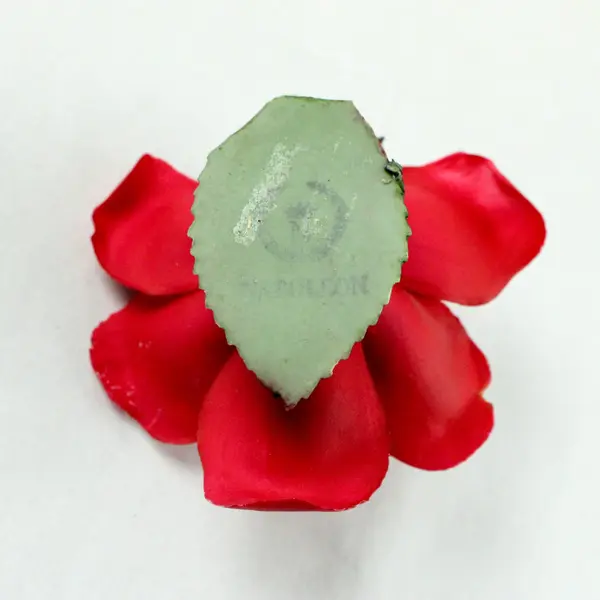 Napolson Metal Rose Figurine Red Flower Green Leaf Decor
