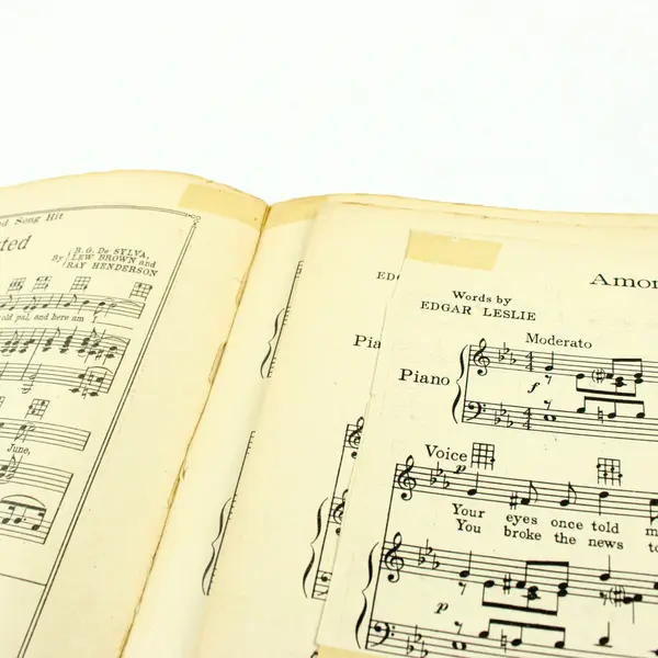 Among My Souvenirs Vintage Sheet Music Edgar Leslie Horatio Nicholls