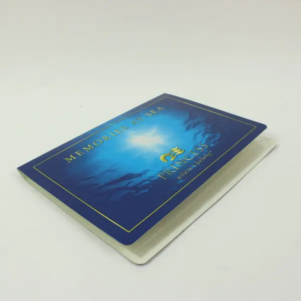 Princess Cruises Memories at Sea Small Photo Album 12 Double-Sided Sheets 