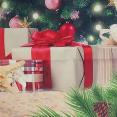 7.5ft July Christmas Backdrop WDXT09-HABO-7X5T Holiday Party Photography