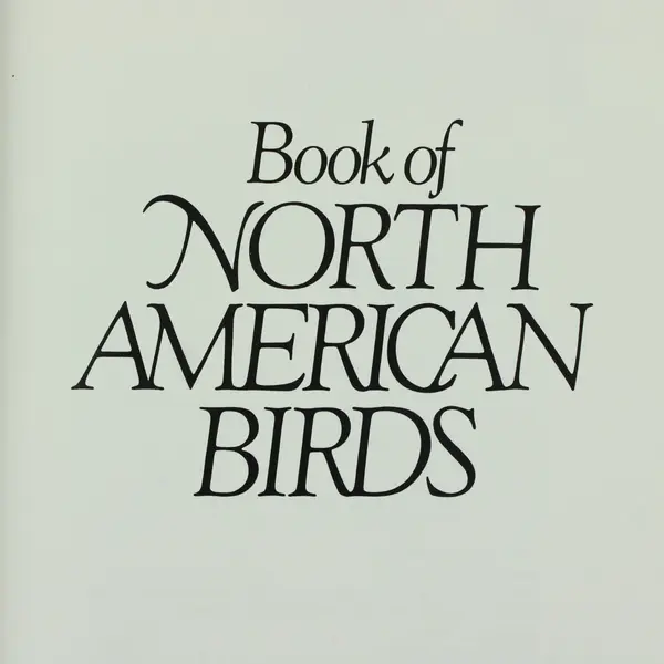 Vintage Reader's Digest Book of North American Birds 1990 Hardcover Reference