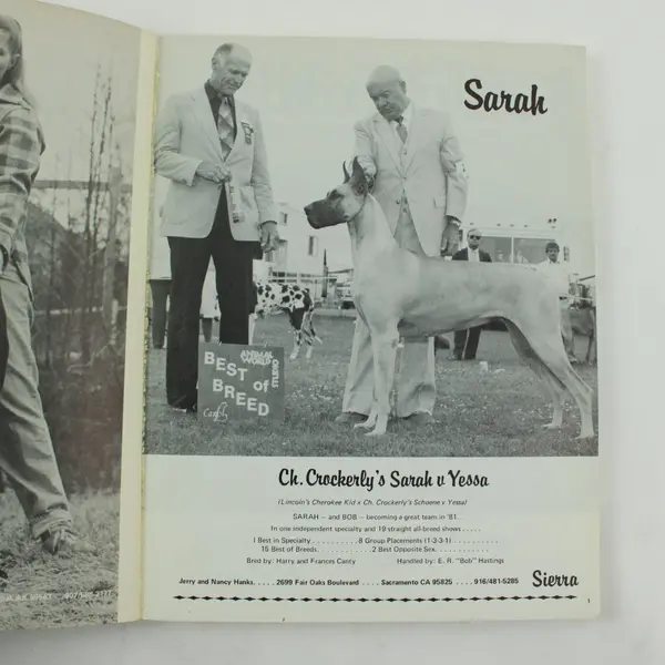 The Great Dane Reporter Magazine September-October 1981 Dog Breed