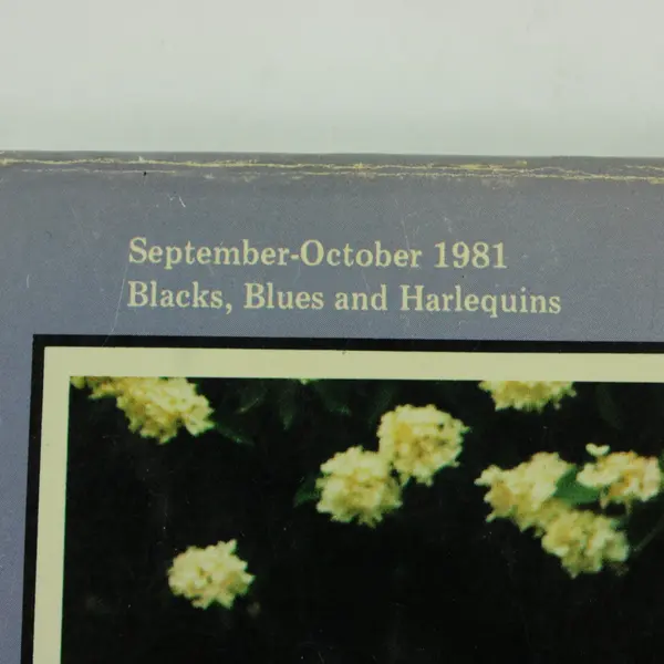 The Great Dane Reporter Magazine September-October 1981 Dog Breed