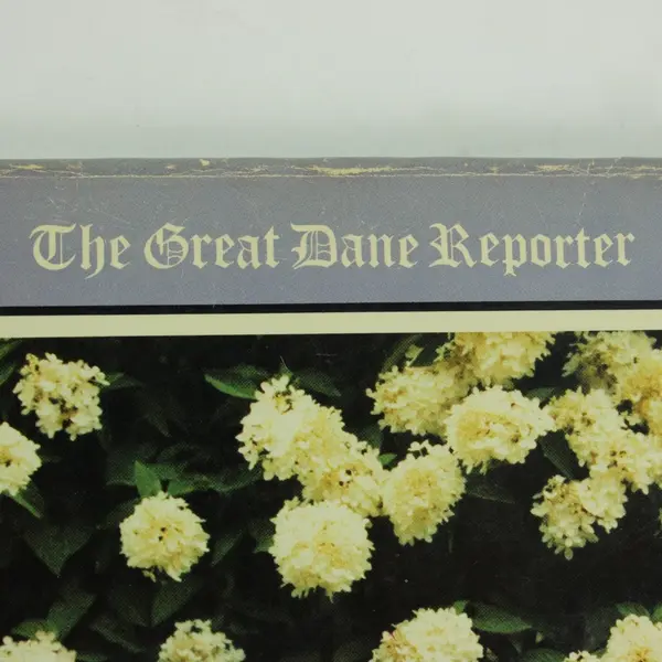 The Great Dane Reporter Magazine September-October 1981 Dog Breed