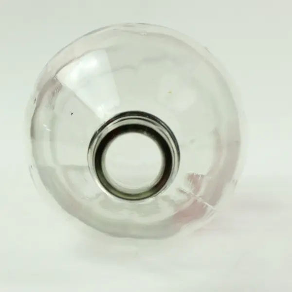 BEST-1 Hummingbird Feeder Replacement Glass Bottle Clear Red Graphics