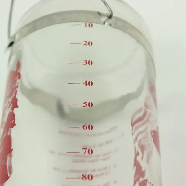 BEST-1 Hummingbird Feeder Replacement Glass Bottle Clear Red Graphics