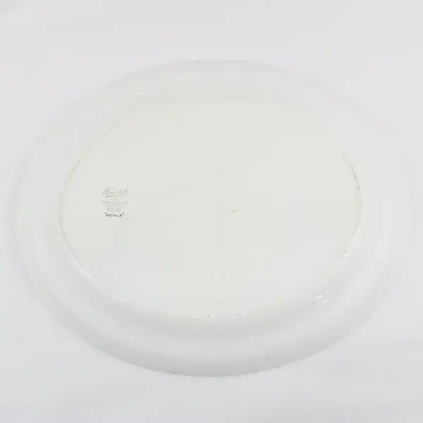 Antique Pountney Bristol Ware Scale Design Platter 16in
