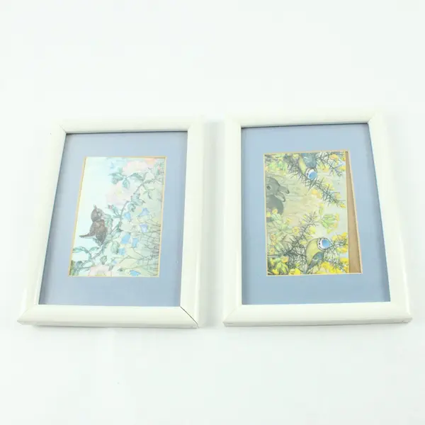 Pair of Framed Bird Prints Nature Artwork White Frames