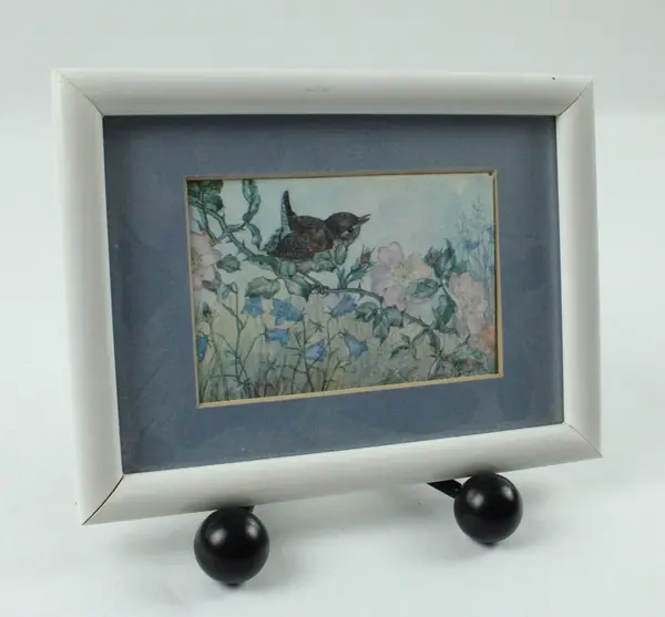 Pair of Framed Bird Prints Nature Artwork White Frames