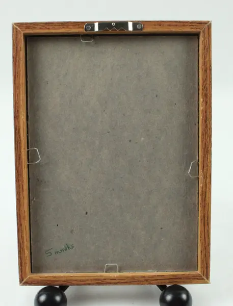 Lot of 2 Oak Finish Wood Picture Frames Wall Display 5 x 7 Photos