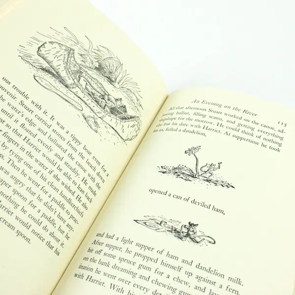 Stuart Little E. B. White 1945 First Edition Hardcover With DJ Illustrated Good