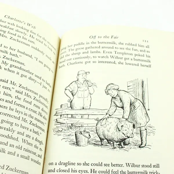 Charlotte's Web E.B. White Illustrated Children's HC Book 1st Edition 1952 Good
