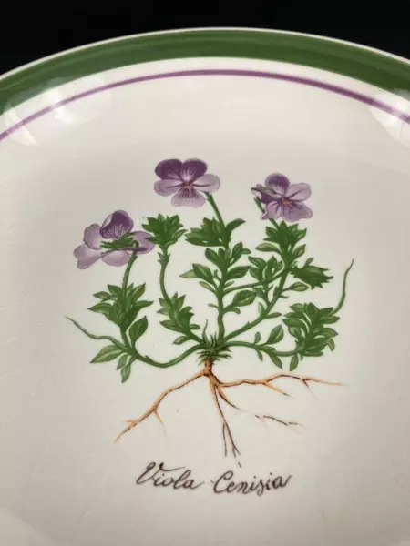 Himark Viola Cenisia Shallow Bowl 10.5" Porcelain Made in Italy Pre-Owned