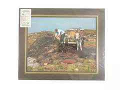 Vtg Enlarged Color Print Of Taking Home Connemara Galway Ireland Sealed 10x12in