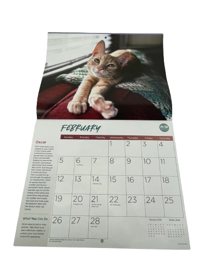 Peta 2023 Wall Calendar Assorted Rescued Rescue Animal Themes