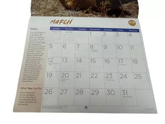 Peta 2023 Wall Calendar Assorted Rescued Rescue Animal Themes