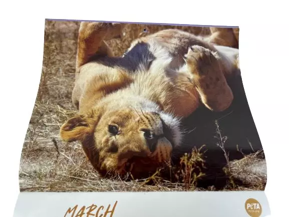 Peta 2023 Wall Calendar Assorted Rescued Rescue Animal Themes