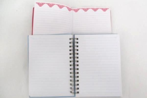 Lot of 2 Journals Blue Pink Flex Leather Faith Floral ~ NEW