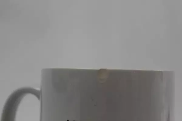 Shhh There's Wine In Here Ceramic Coffee Mug White 3.75in Tall