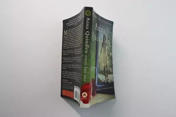Anna Quindlen Every Last One Paperback Novel 2010 Pre-Owned Book