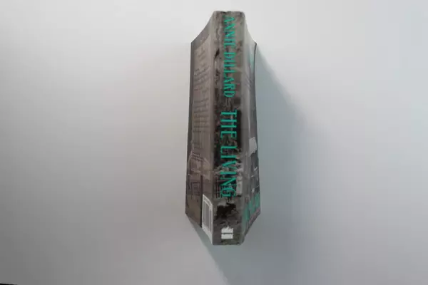 Annie Dillard The Living A Novel Novel Paperback Book 1993 HarperCollins