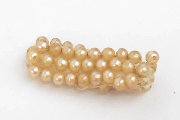 Vintage Art Deco Beaded Handbag Zip Close Pearly Inside Slit Pocket