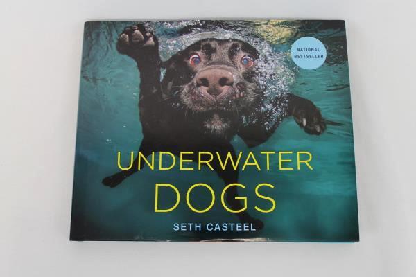 2012 UNDERWATER DOGS with Photos by Seth Casteel National Bestseller Hardcover