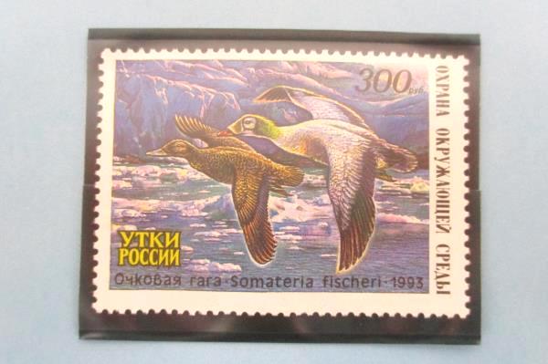 1993 Russia Duck Stamp Mint Collection Tri-Fold Ivan Kozlov National Wildlife