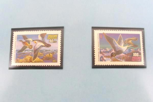 1993 Russia Duck Stamp Mint Collection Tri-Fold Ivan Kozlov National Wildlife