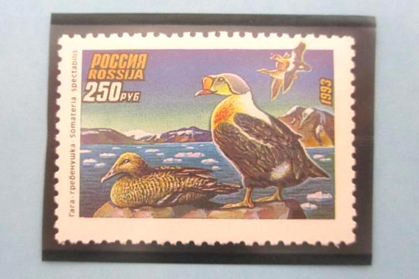 1993 Russia Duck Stamp Mint Collection Tri-Fold Ivan Kozlov National Wildlife