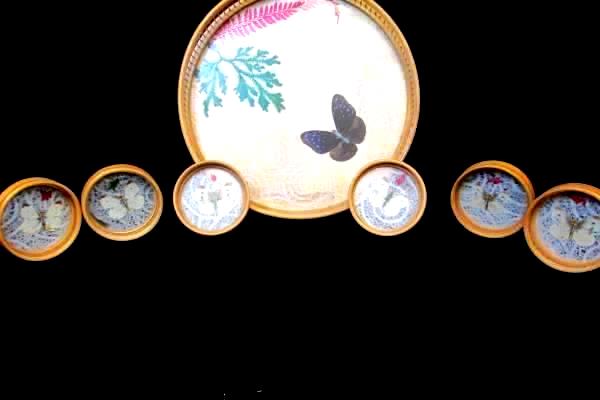 Set of 1 Serving Tray 6 Coasters Moths Butterfly Glass Wood Weaved Bottom