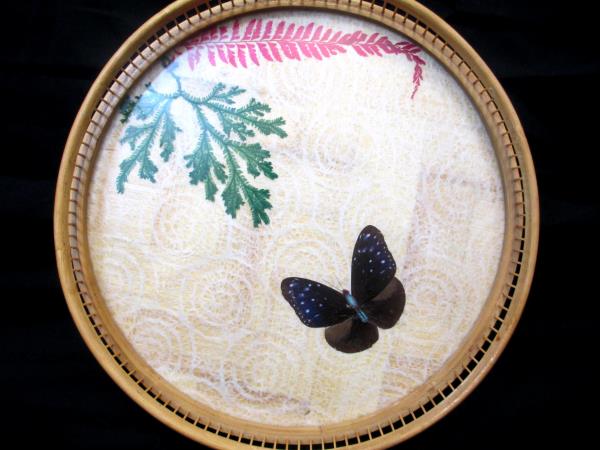Set of 1 Serving Tray 6 Coasters Moths Butterfly Glass Wood Weaved Bottom