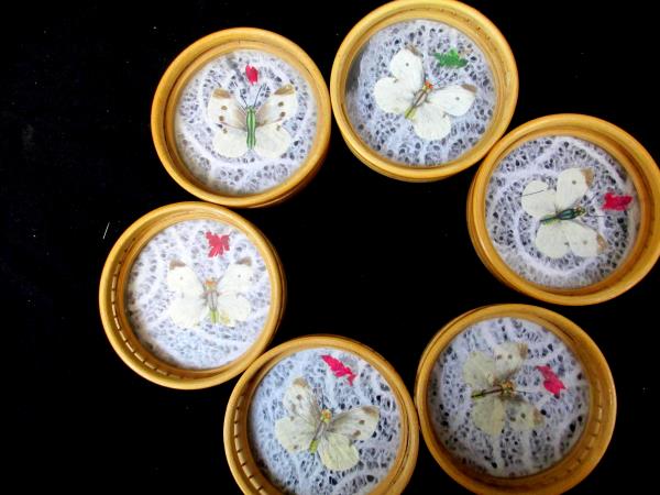 Set of 1 Serving Tray 6 Coasters Moths Butterfly Glass Wood Weaved Bottom