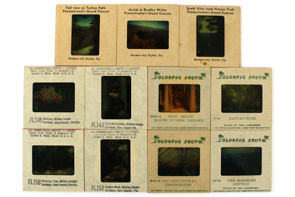 Lot of 11: Assorted Vintage 35 mm Color Slides of Plants and Popular Places