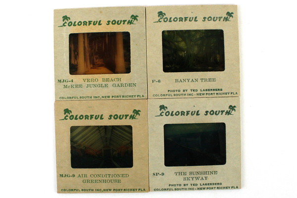 Lot of 11: Assorted Vintage 35 mm Color Slides of Plants and Popular Places