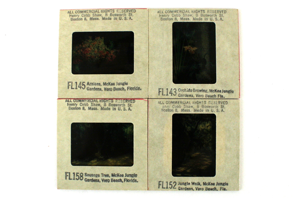 Lot of 11: Assorted Vintage 35 mm Color Slides of Plants and Popular Places