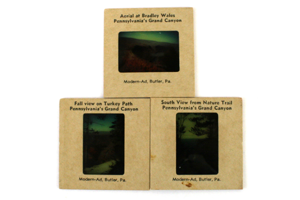 Lot of 11: Assorted Vintage 35 mm Color Slides of Plants and Popular Places