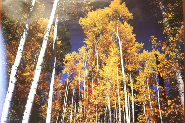 Black Butte Ranch Aspen 2004 Calendar Poster With 2003 Fire Progression Guide