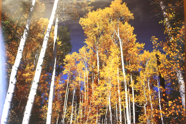 Black Butte Ranch Aspen 2004 Calendar Poster With 2003 Fire Progression Guide