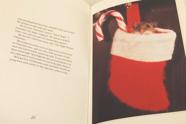 1991 Donald Zolan Children's Christmas Book First Edition Hardcover