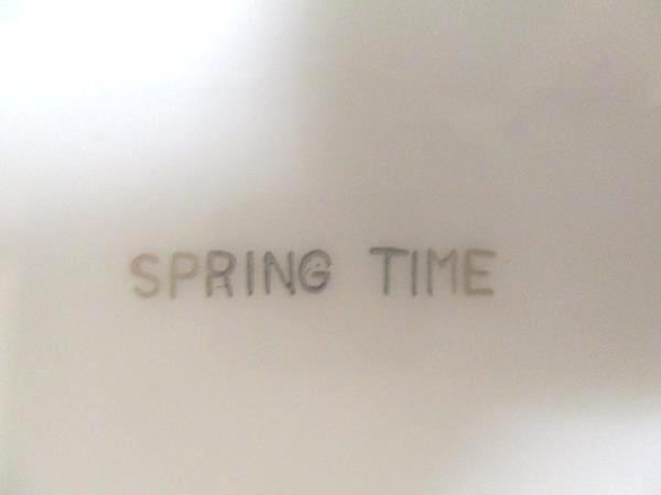 Set of 4 Salad Plates 7.75" Spring Time White with Platinum Gilt Primrose Vine