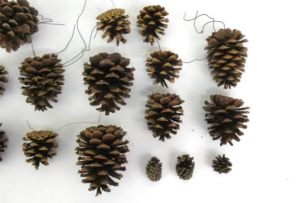 Lot Of 16 Pine Cones Real Various Sizes DIY Holiday Craft Ornaments Centerpiece