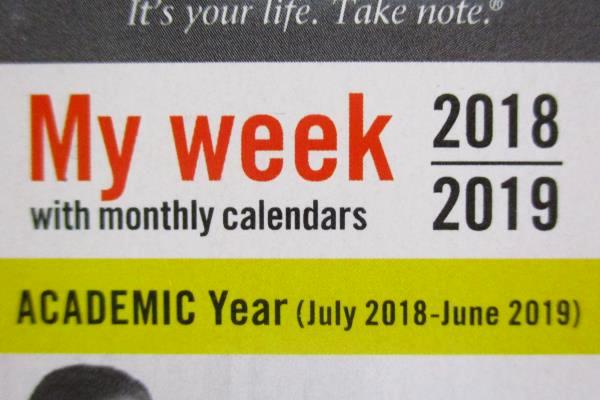 2 New At A Glance Academic 2018 19 Planner My Week 8 Half x 11 Salmon Gold