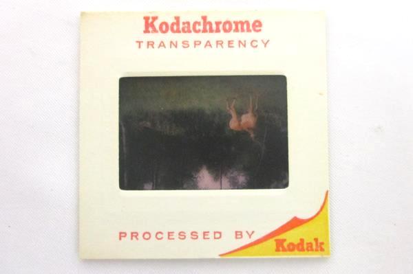 Vtg Kodak 80 Slide Carousel Tray w/ 62 Slides From Kenya, Congo, Camaroun 1966