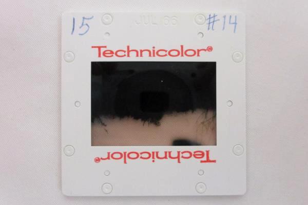 Vtg Kodak 80 Slide Carousel Tray w/ 62 Slides From Kenya, Congo, Camaroun 1966