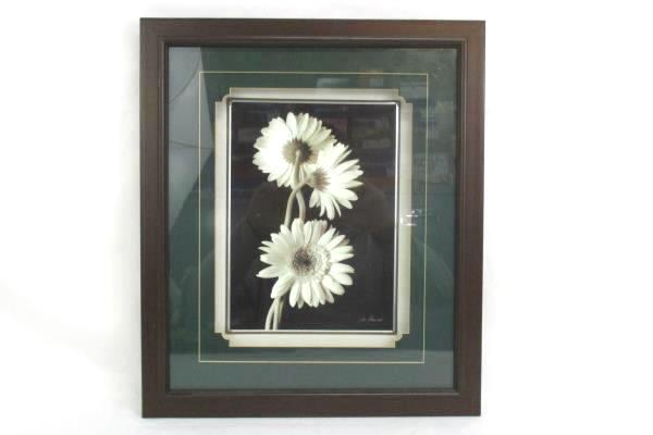 Beautiful Shadow Box Daisy Black And White Print Artist Signed