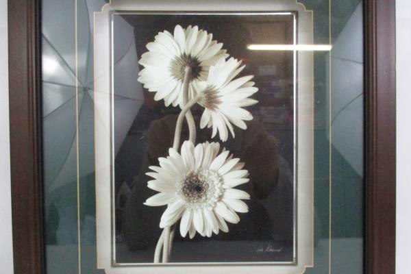 Beautiful Shadow Box Daisy Black And White Print Artist Signed