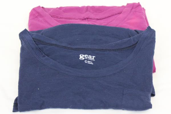 Women's Lot Of 2 Sz Large Shirts Gear and Nike See Through Blue, Purple