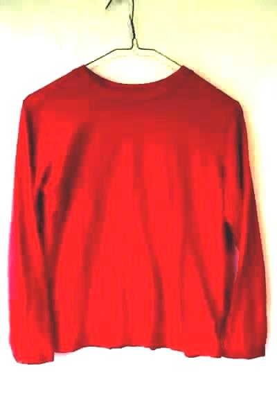 Junior Boy's Long Sleeve Shirt Solid Red by Arizona Jean Co Size M(10-12)
