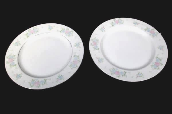 Set of 2 China Garden Prestige Floral Print Etched Glass 10.5" Dinner Plates
